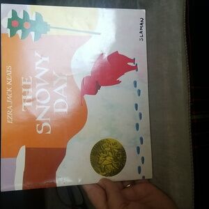 The Snowy Day Kids Book